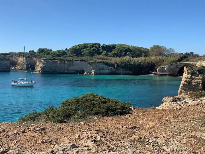 Sport Boat tour in Castro