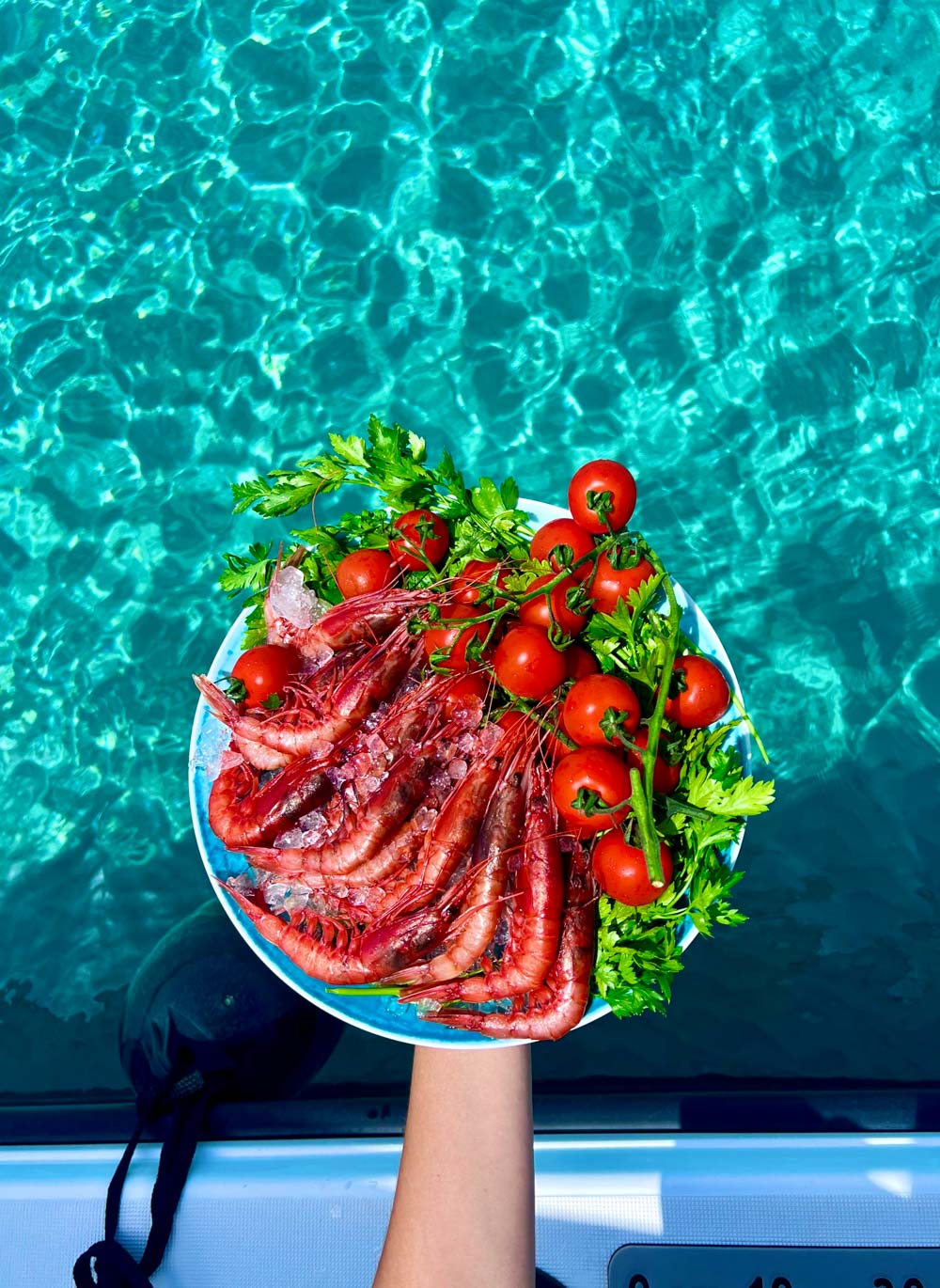 Open Speedboat tour in Otranto
